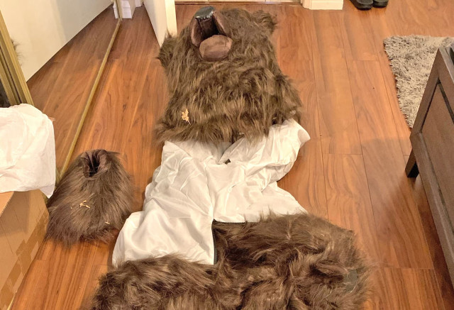 A bear costume found in the home of a suspect in the insurance fraud case. Photograph: California department of insurance/AFP/Getty Images