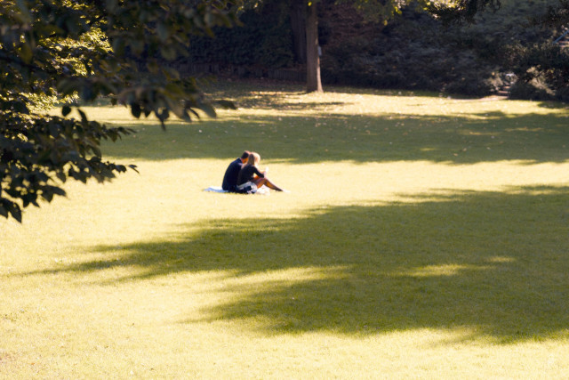 The image shows a person sitting alone on the grass in a park-like setting. The person appears to be in a meditative or contemplative pose, surrounded by sunlight filtering through the trees. The lush green grass and warm lighting create a serene, peaceful atmosphere.