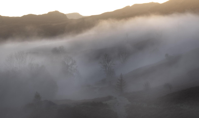 A bank of mist rolls across the slopes on Loughrigg fell at sunrise. Trees are partly hidden by the blanket. 