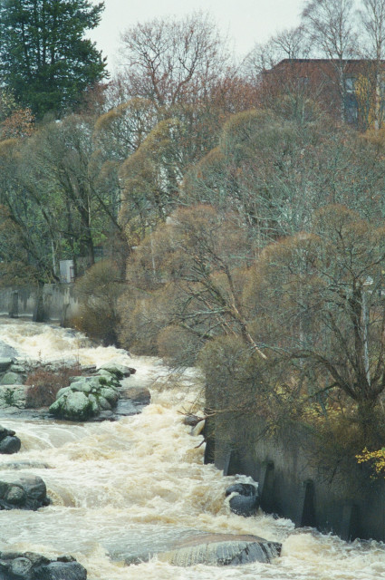 A fast-flowing river with muddy water, surrounded by bare trees and rocks, flows past a concrete wall. The scene is set against a cloudy sky.