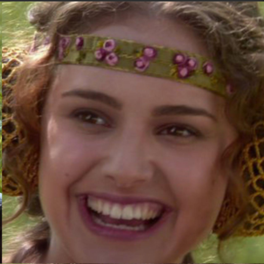 Padme (femme, brown eyes, curly brown hair in a buns over her ears) from Star Wars grinding broadly. From the ubiquitous 4 panel meme.