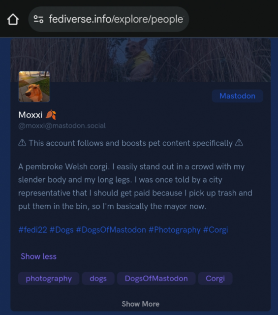 a screenshot of a webpage with Moxxi's profile and that reads

Moxxi @moxxi@mastodon.social This account follows and boosts pet content specifically A A pembroke Welsh corgi. I easily stand out in a crowd with my slender body and my long legs. I was once told by a city representative that I should get paid because I pick up trash and put them in the bin, so I'm basically the mayor now. #fedi22 #Dogs #DogsOfMastodon #Photography #Corgi Show less photography dogs DogsOfMastodon Corgi