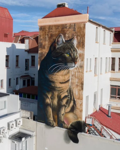 A large mural of a tabby cat painted on the side of a building in Papaioea, New Zealand, by the artist SWIFTMANTIS. The artwork features the cat in a sitting position with lifelike details, including its striking green eyes, realistic fur texture, and sharp whiskers. The mural blends seamlessly with the rustic tones of the building, with the cat’s tail extending slightly onto a lower wall. The vibrant red rooftops of nearby buildings add contrast to the scene, enhancing the visual impact of the mural.