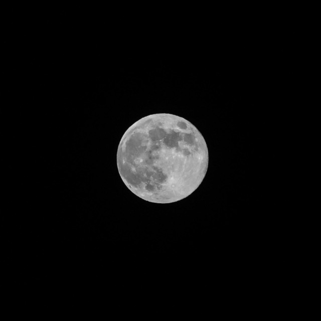 Full moon in black and white