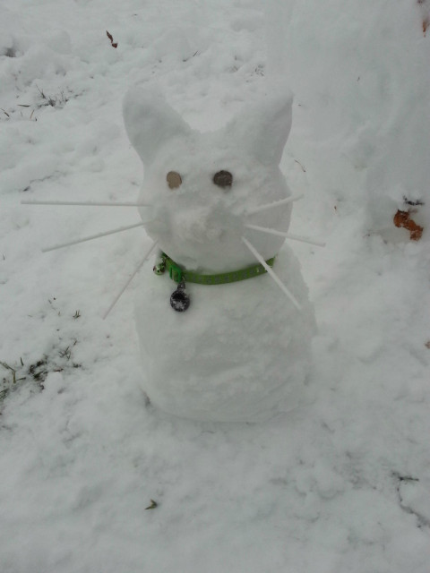 A snowcat with whiskers and a green collar. 