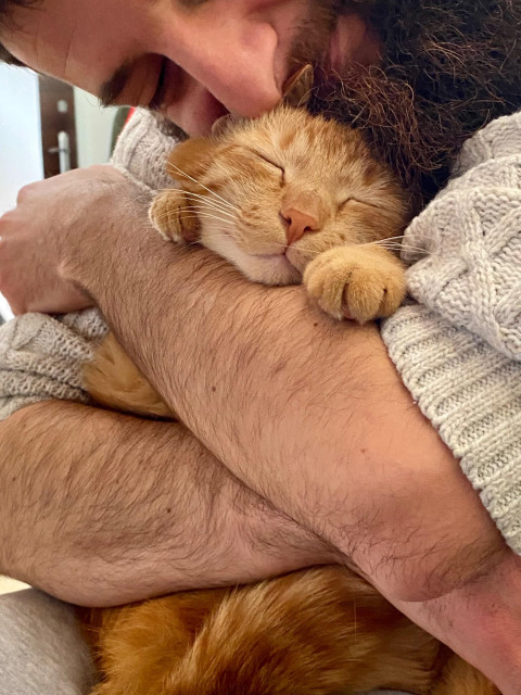 A close-up photo of a ginger cat contentedly enjoying being hugged. The cat looks peaceful and relaxed, with its paws resting gently on my arm.