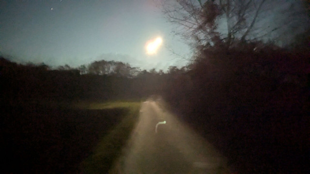 Der Vollmond leuchtet hell knapp über dem Horizont. Eine Straße verläuft vertikal durchs Bild, rechts Gebüsch schwarz.