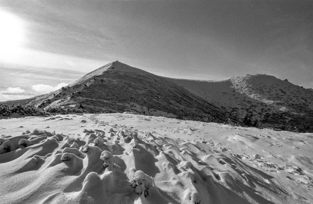 This is a black-and-white photograph of a snowy mountain landscape in the Ukrainian Carpathians. In the foreground, small snow-covered mounds and shrubs create intricate textures, shaped by the wind and frost. The midground features a sharp, triangular mountain peak, its slopes partially covered by sparse vegetation and snow. To the right, a ridge extends, gently descending into a valley. The scene conveys a sense of tranquility and the raw beauty of untouched winter nature under a bright sky.