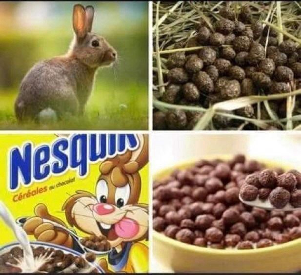 Foto von Hase – Foto von Kasenköttel.
Foto von Nesquik Cerealien Packung (mit Hasenmotiv) – Foto von den Cerealien in der Schüssel.
Die Hasenköttel und die Cerealien sind sich sehr ähnlich