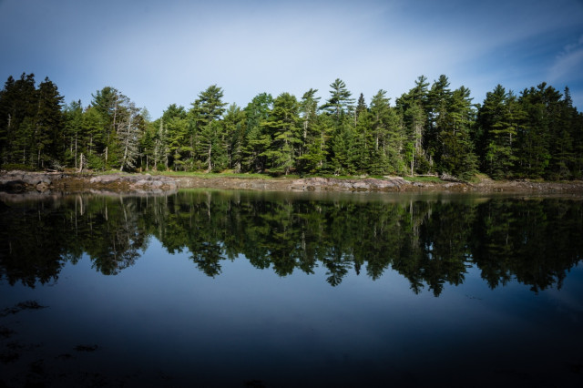 The shoreline in Acadia national Park in Maine. A blue partly cloudy sky, the shoreline at the horizon lined by pine trees, which are reflected on the blue water below.