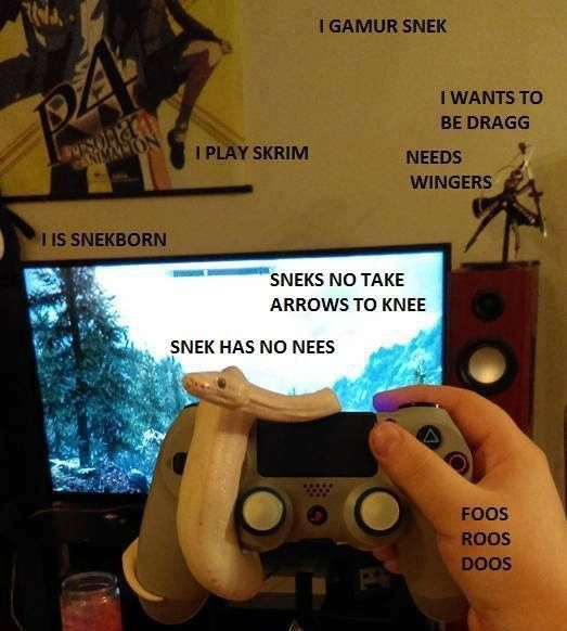 Snake wrapped around a gamepad in front of a screen with Skyrim on it. 
The snake says:
"I gamur snek"
"I wants to be dragg"
"Need wingers"
"I play Skrim"
"I is snekborn"
"Sneks no take arrows to knee"
"Snek has no nees"
"Foos 
ROOS
DOOS"