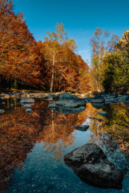 Fotografía vertical donde se ve en la mitad inferior un riachuelo de agua calmada donde se refleja los árboles otoñales y rocas de la mitad superior. Fotografía tomada en el parque natural de Ordesa en octubre 2021.