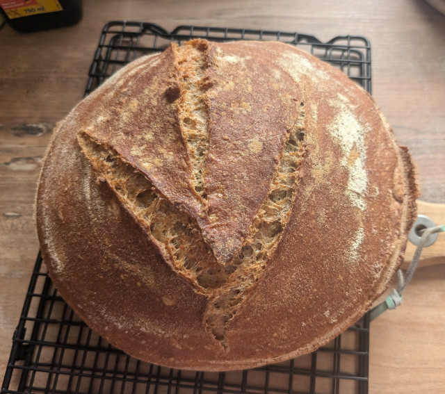 Ein rundes, dreifach eingeschnittenes Brot auf einem Abkühlgitter 