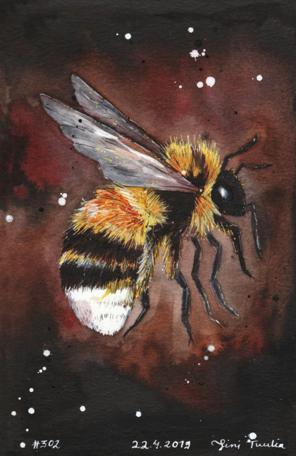 An impressionistic and not very anatomically accurate little painting of a bumblebee with a white end, and yellow and black stripes. It fills most of the page. The wings are the most inaccurate bit, while the fuzz, eyes and legs have been somewhat faithfully depicted. The eye, the bee being depicted from the side, has a lovely sheen, giving it sort of an anthropomorphic expression. The background is a mix of deep red, brown and black, with some artistic random spatters of white ink. The depth and darkness of the blacks suggests India ink instead of gouache. As a whole it's quite cute, if you find bumblebees cute. Signed Sini Tuulia in white ink and calligraphy nib, dated the 22th of April 2019, serial number 302.