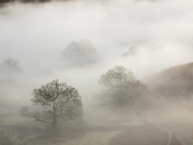 Looking down on the valley below. Trees are partially obscured by mist some with only their tops stick out above the low cloud.