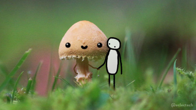 A photo of a small mushroom in a green lawn, with a tight focus so both the foreground and background grass is blurred. It has a sweet face drawn on its rounded cap and arms from its stem. A simple drawn figure stands next to it, looking at its big old face, and holding its hand. Dawwwwww.