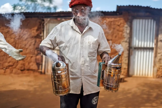 An assistant prepares bee smokers for Loise Kawira, a consultant beekeeper and trainer for the research and conservation organisation Save the Elephants.