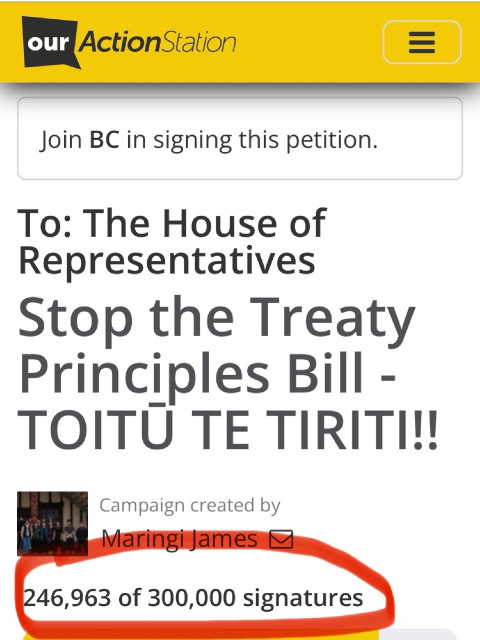 Screengrab reads: “our ActionStationJoin BC in signing this petition.To: The House of Representatives Stop the Treaty Principles Bill - TOITU TE TIRIT!!! Campaign created by Maringi James 246,963 of 300,000 signatures”