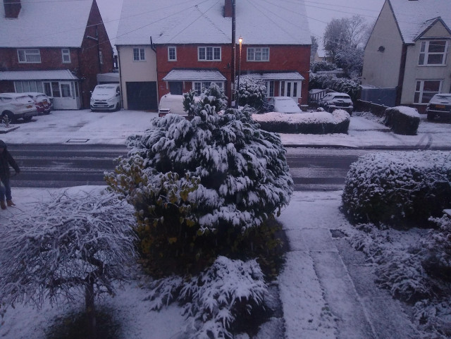 Snow covered road and front gardens