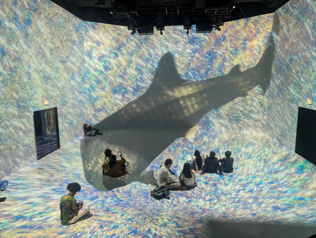 Giant whale shark is projected on 3 walls and the floor chasing a school of bioluminescent fish.