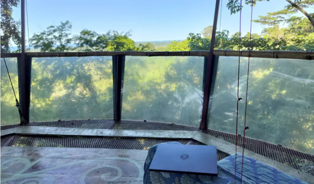 tuxedo lying on a table on the right side, in front overview over jungle from a kind of a balcony