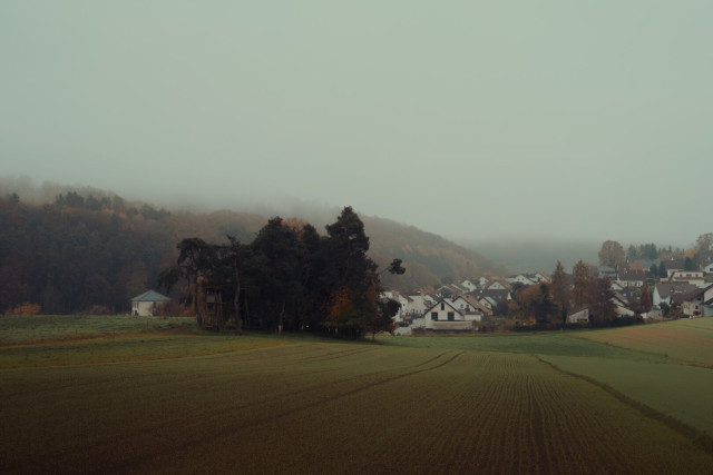 A peaceful, foggy landscape with a small village nestled near a forest. Rows of green fields lead towards houses in the distance, partially veiled by mist. The scene has a quiet, moody atmosphere, with autumn colors in the trees blending softly into the fog.