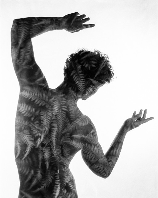 A naked man shot from the back. His skin is covered in pointed fern leaves from the double exposure. Black and white. 