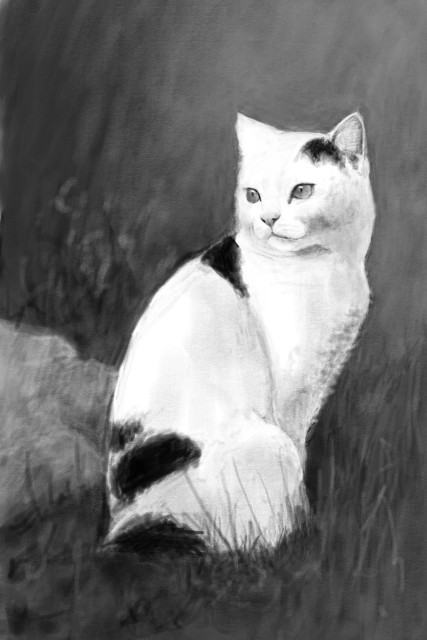 Black and white digital sketch of a white cat sitting in some grass and staring off into the distance