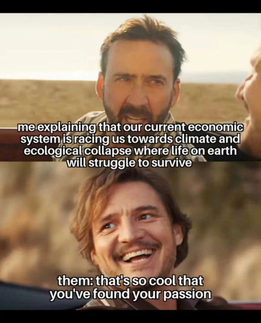 meme from movie The Unbearable Weight of Massive Talent which you should totally see

Top frame: Nick Cage "me explaining that our current economic system is racing us toward climate and ecological collapse where life on earth will struggle to survive"

Bottom frame: Pedro Pascal High AF "them: that's so cool that you've found your passion"