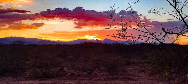 Brilliant gold, red, and orange clouds highlight the sun as it sinks behind the purple Chiricahua Mountain. Sand and spiky brush fill the foreground. 