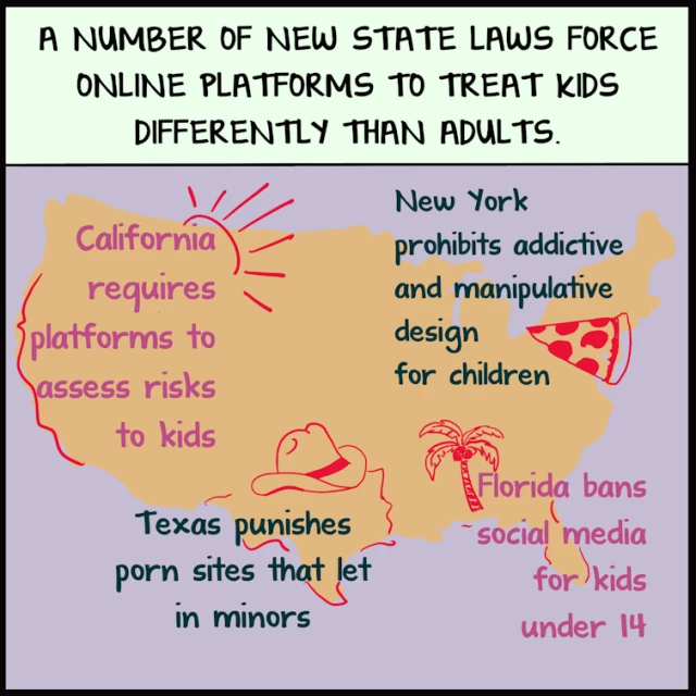 A comic panel. At the top, it reads "A number of new state laws force online platforms to treat kids differently than adults." 