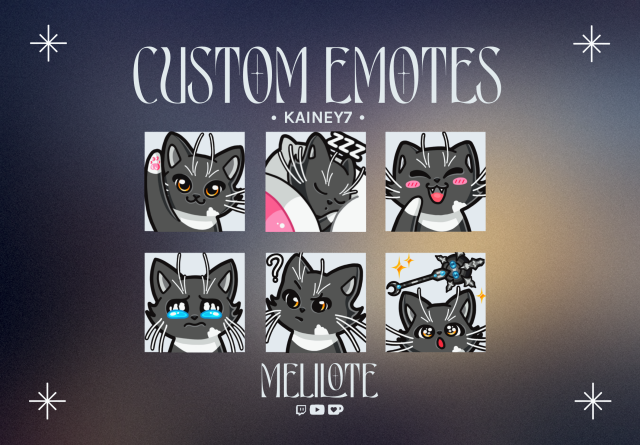 A set of 6 emotes of a black cat