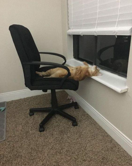 Orange cat on his back.  Lower body on a wheeled office chair which is up against and facing a window.  His head is on the window sill.  Sound asleep.