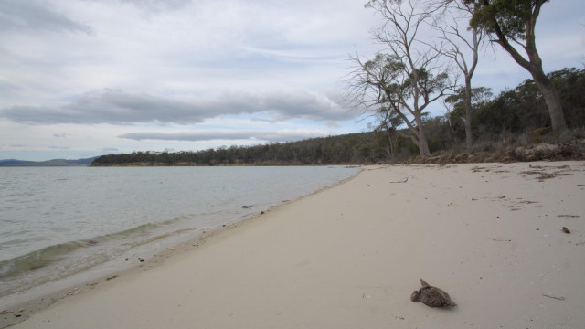 A view along a sandy beach towards a distant low headland.  A piece of driftwood lies alone on the sand at lower right. Glassy wavelet is breaking at left, the waterline and sand meeting at the corner of the frame. A moody cloud sits alone in the sky below thin higher layers, with patches of blue.