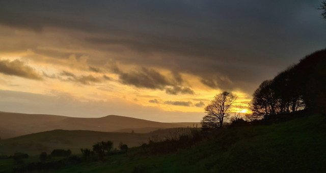 A sunset on a cloudy day, looking across a rural English landscape. The land is made up of a series of hills, picked out by the low lying mist and light, with some trees in the foreground, including a stand of large trees on the right of the shot. The sun is glowing behind the trees and colouring a horizontal yellow-gold streak across the sky but above the light, the cloud is thick and heavy.