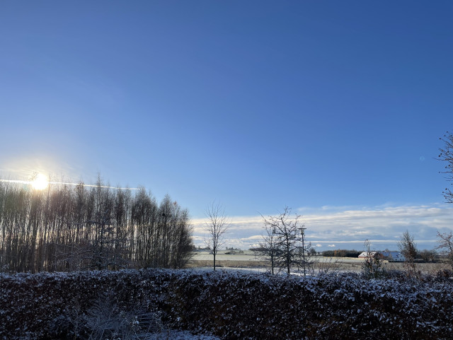 A winter landscape featuring a clear blue sky, the sun shining on a snow-covered field, and a line of trees in the foreground. A house can be seen in the distance.