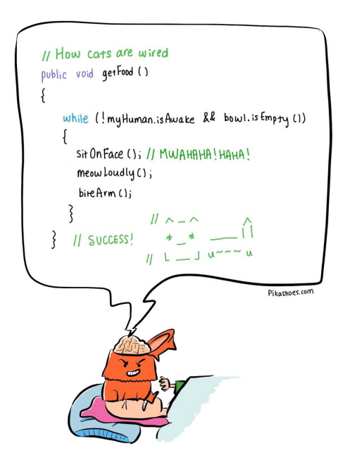 This comic shows a snippet of pseudocode with a funny take on cat behavior.  

// How cats are wired
public void getFood() 
{
  while (!myHuman.isAwake && bowl.isEmpty()) 
  {
    SitOnFace();  // MWAHAHA! HAHA!
    meowLoudly();
    biteArm();
  }
} // SUCCESS! 


So this comic shows a cat's thought process as a programmed algorithm with slightly evil tactics likesitting on faces, biting to achieve its goal of getting fed.