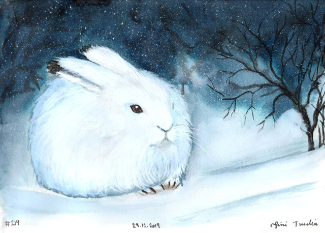 An ink and gouache painting of an extremely round and fluffy arctic rabbit in its white winter coat, huddling next to a scraggly little bush sans leaves. It's a very soft creature, with soulful brown eyes, the rounded nose and just a tiny bit of front paws peeking out from within its fluffy huddle. Soft white whiskers. It's depicted on the suggestion of snow drifts, the background obscure scribbled shapes of dark branches, and spattered white paint to suggest snowfall. I cannot stress enough how soft and round the bunny is. Signed Sini Tuulia, 28th of December, 2018. Serial number 214.