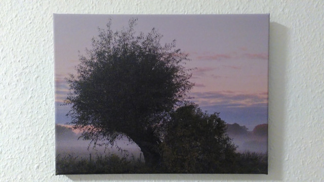 A photo of a willow tree in the misty morning, printed on canvas hanging on a white wall.