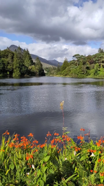 Orange bloom in front of a lake