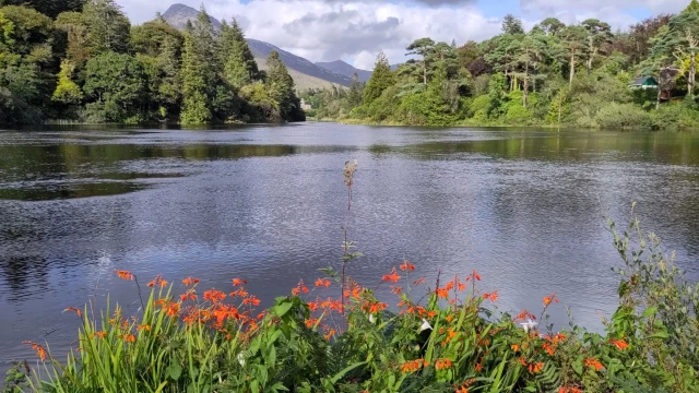 Orange bloom, lake and mountains