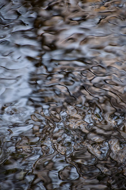 Colour photograph taken with a long lens and fast shutter speed of the reflections of bankside trees in a shallow stream, where the ripples have created beautiful patterns that resemble quicksilver