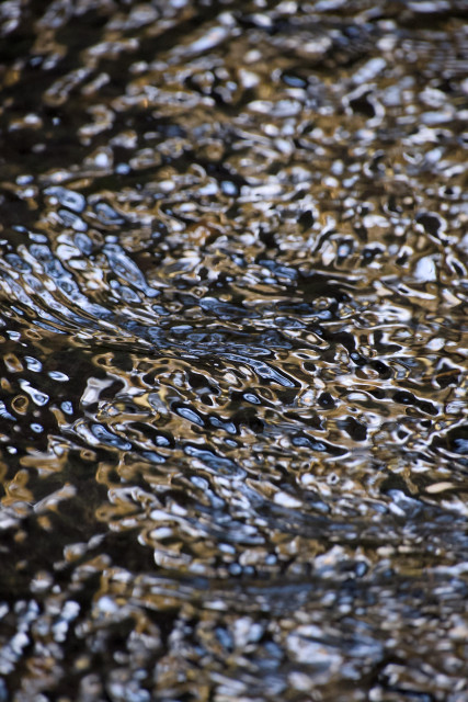 Colour photograph taken with a long lens and fast shutter speed of the reflections of bankside trees in a shallow stream, where the ripples have created beautiful patterns that resemble quicksilver