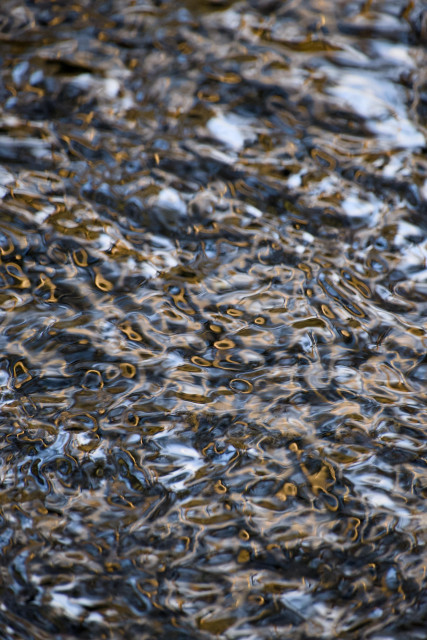 Colour photograph taken with a long lens and fast shutter speed of the reflections of bankside trees in a shallow stream, where the ripples have created beautiful amber patterns