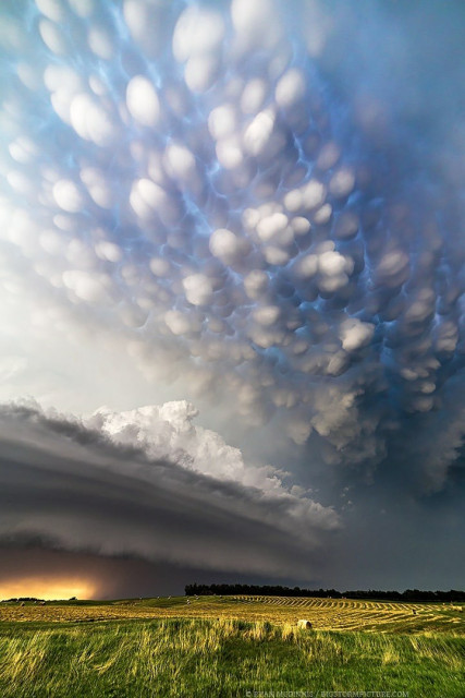 mammatus clouds over a grassy field. darker storm clouds farther away, sunshine breaking through near horizon.