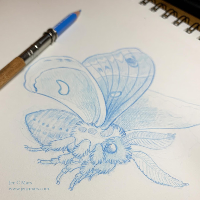 Photo of a sketchbook with a drawing of a cute, fluffy stylized cecropia moth in blue pencil. A blue pencil in a pencil holder is also visilble. 