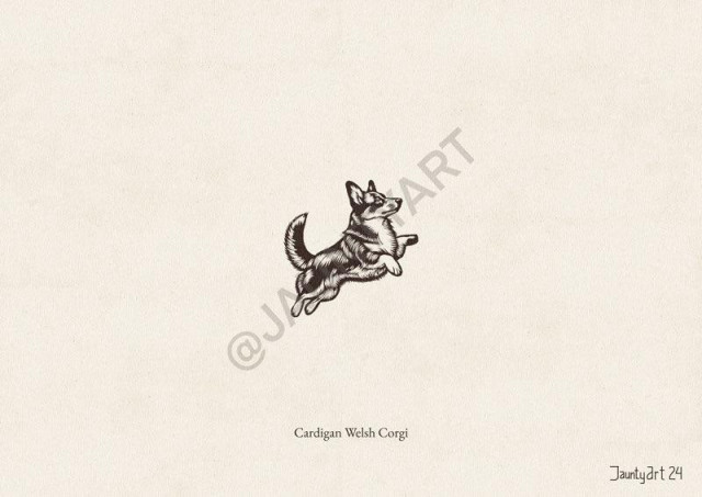 An illustration of a Cardigan Welsh Corgi jumping up and to the right
Text reads “Cardigan Welsh Corgi”