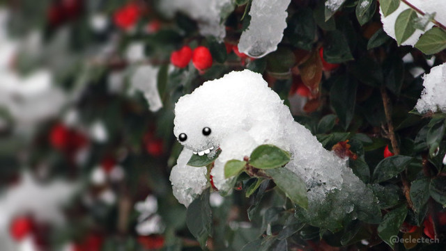 A photo focussed on a dollop of snow on a catoneaster shrub with dark green leaves, bright red berries, and various smatterings of snow (mainly blurred in the background). The dollop in focus loops a little like a person hunched over a leaf, with snow arms wrapped holding on to it. I have added eyes and teeth, so they are chomping down on the leaf they are holding.