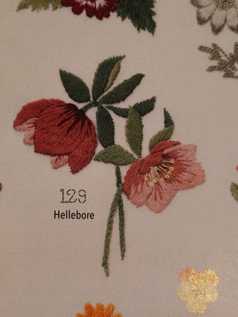 I'll embroider a hellebore on the patch to stablize the hole and add a bit of art to it.

Picture shows a sample hellebore embroidery pattern from the book "Plant Lady Embroidery" by Applemints, from Quarry Books.