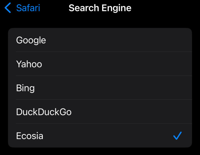 Screenshot of Safari Search Engine choices. 

Google
yahoo
Bing
DuckDuckGo
Ecosia